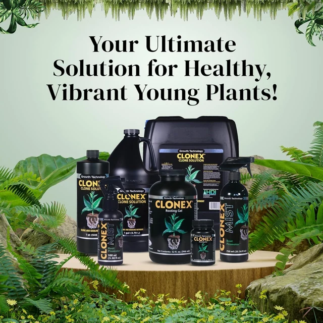 Clonex Mist in the propagation range